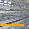 Tianrui Design Steel Galvanized H Type Jaula automática para colocar huevos de gallina